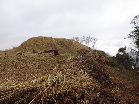 140403tyausuyama-1.jpg