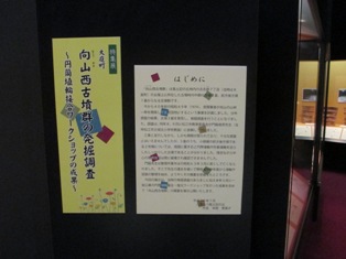 140702mukouyama-1.jpg