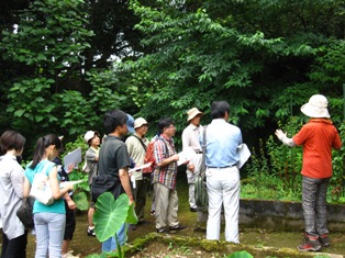 140727syokubutu-1.jpg